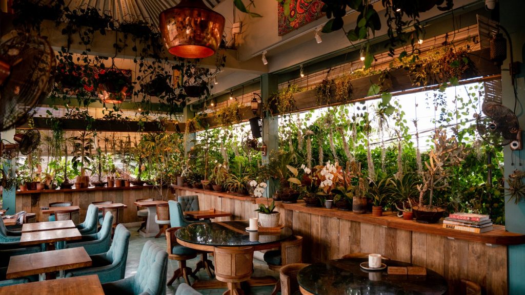Muse Cafe Interiors Afternoon