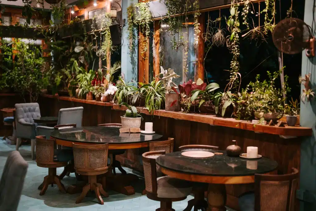 Tables among the plants at Muse in the evening
