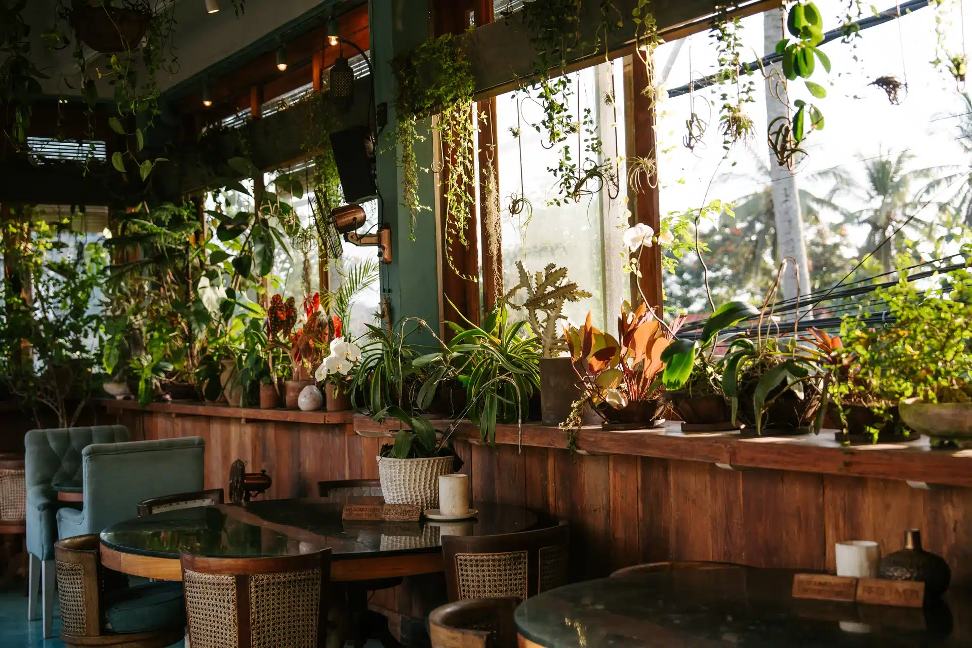 Sunlight across cafe tables and tropical plants at Muse Ubud