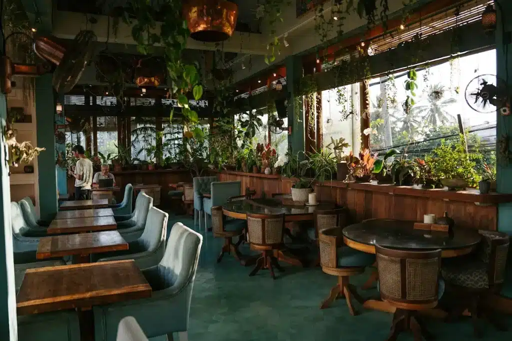 The Muse café in daylight